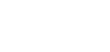 the Union Development logo